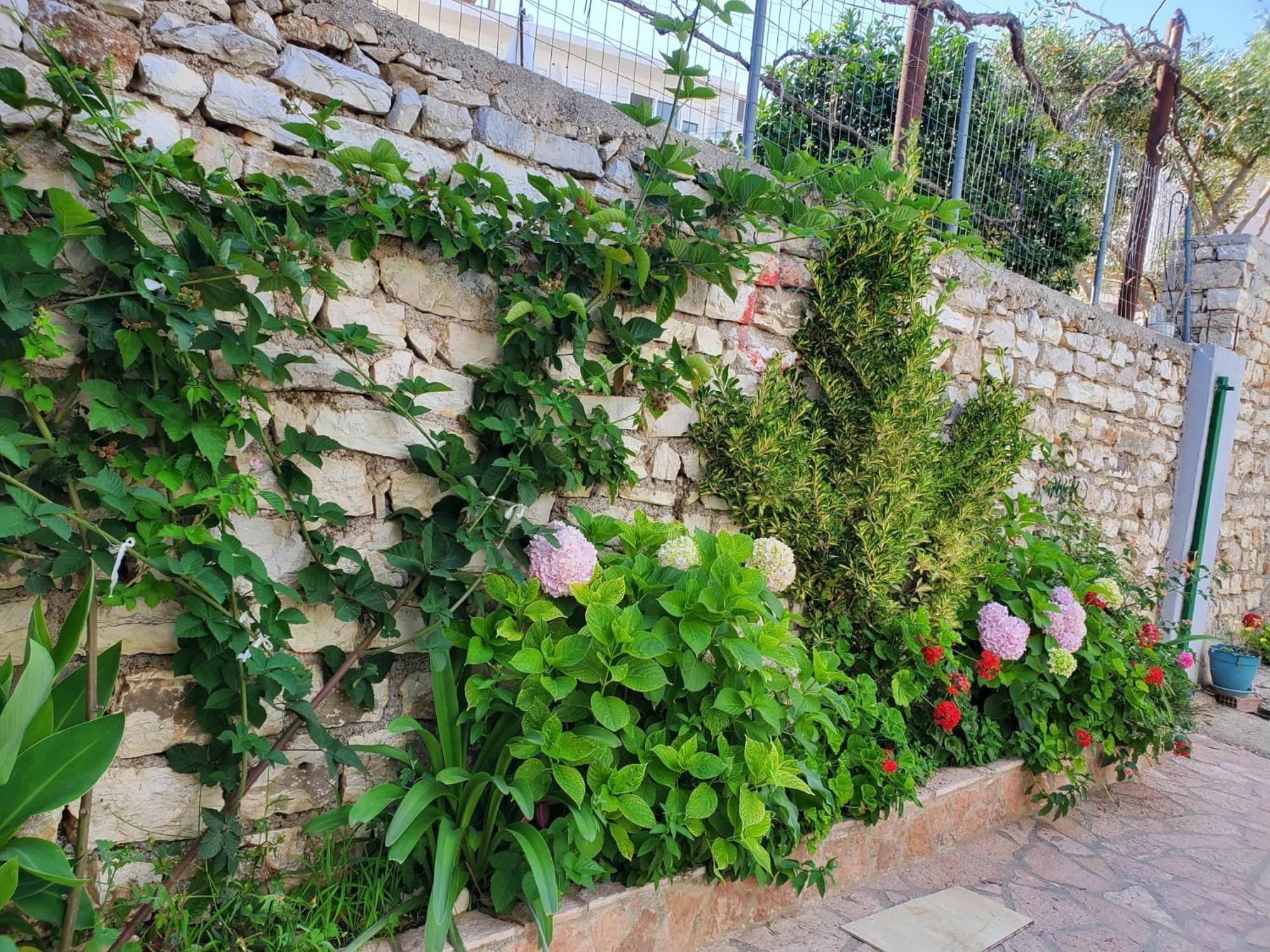 Guest House Sandri Sarandë Exteriör bild